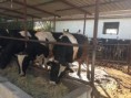 /album/foto%c4%9fraflar%3a-hakk%c4%b1m%c4%b1zda/serkan2-jpg1/